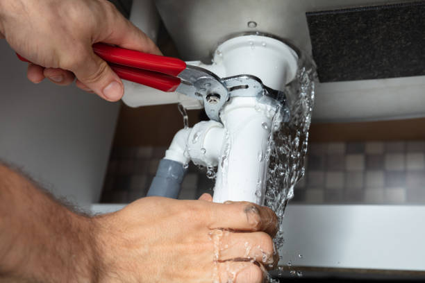 Best Professional water damage repair  in Thomasboro, IL