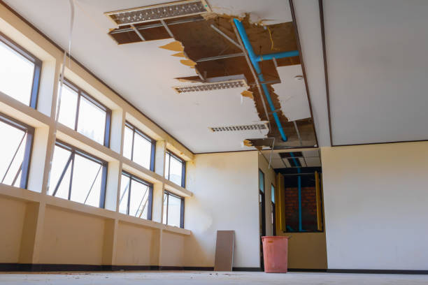 Best 24/7 water damage repair  in Thomasboro, IL