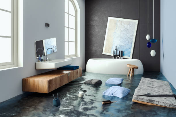 Best 24/7 water damage repair  in Thomasboro, IL