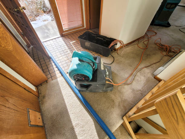 Best Fire Damage Restoration  in Thomasboro, IL