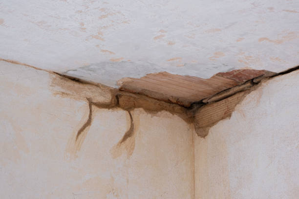Best Local water damage restoration  in Thomasboro, IL