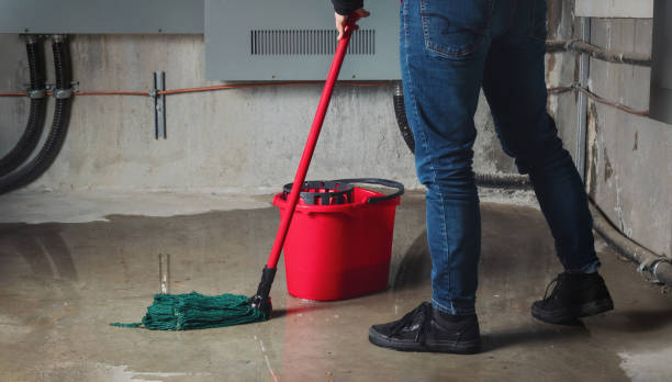 Best Flooded house restoration  in Thomasboro, IL