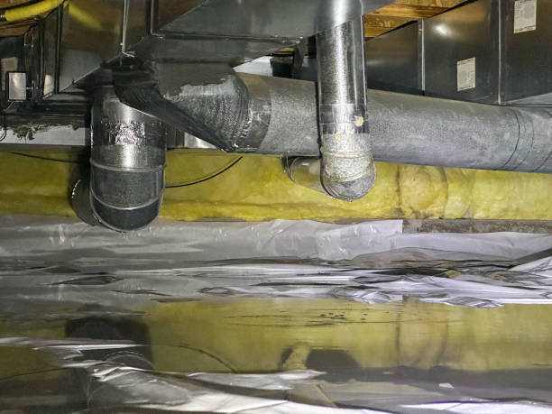 Best Flood damage cleanup  in Thomasboro, IL