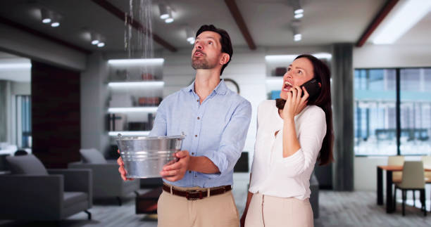Best Water damage restoration mold remediation  in Thomasboro, IL