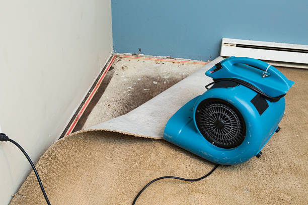 Water damage restoration insurance claims in Thomasboro, IL